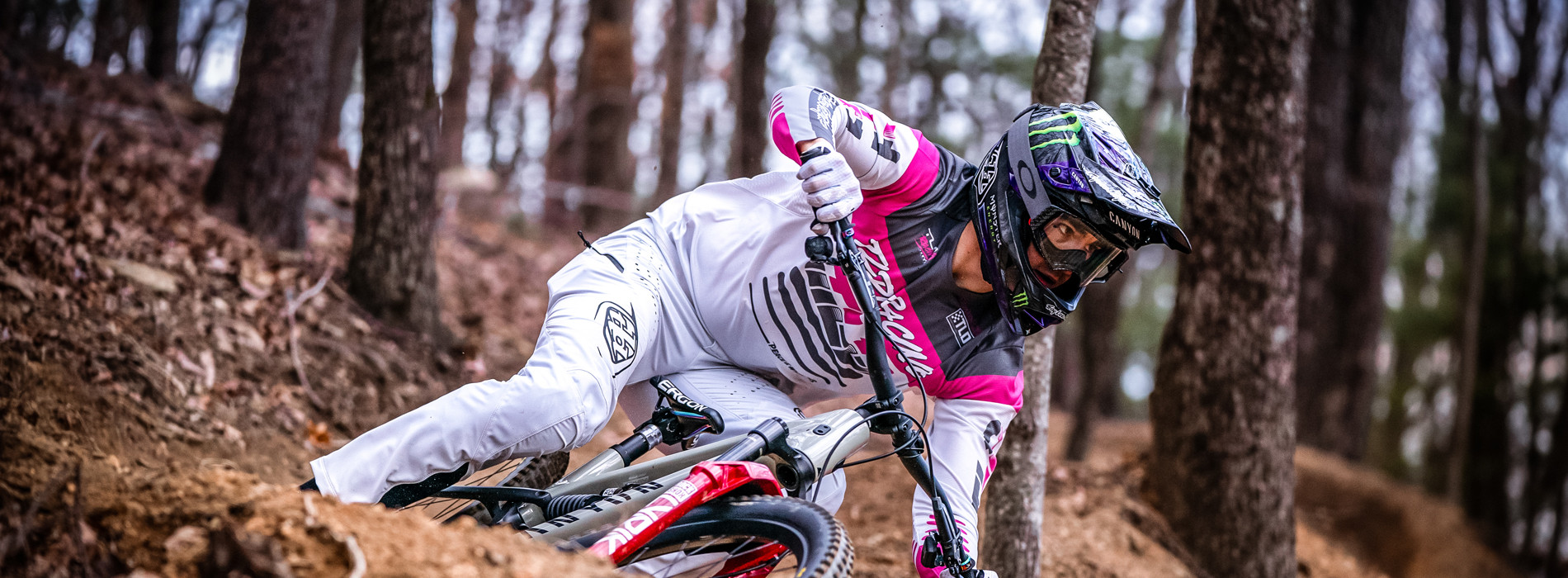 TROY LEE DESIGNS