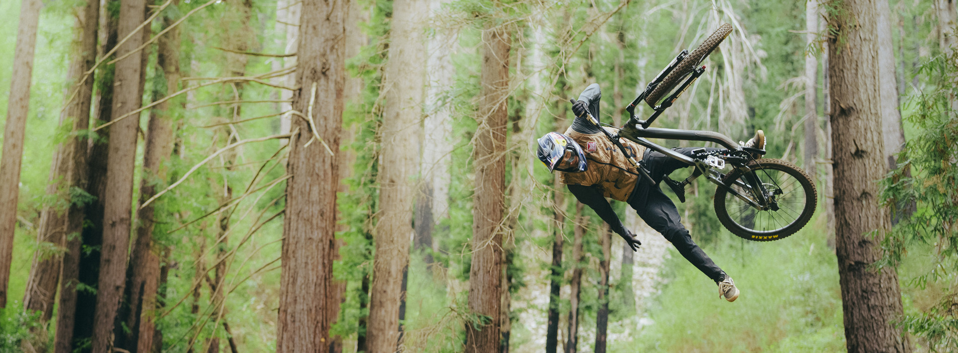 COLLECTION PRINTEMPS 2026