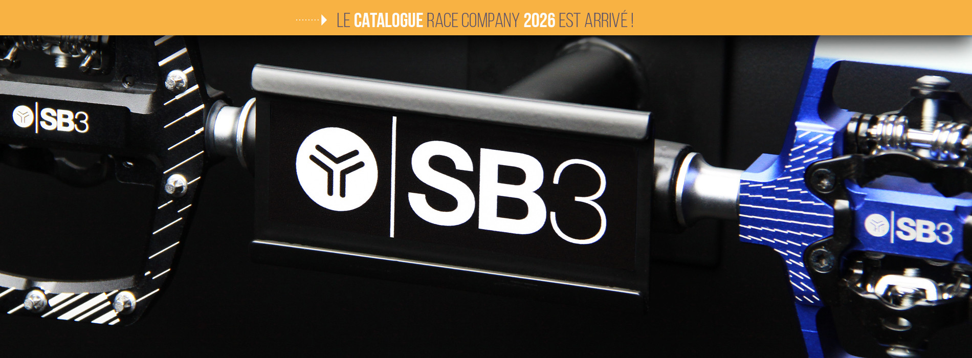 Implantation SB3